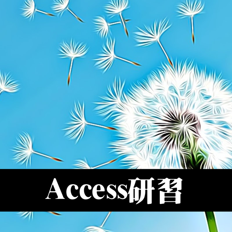 Access研習