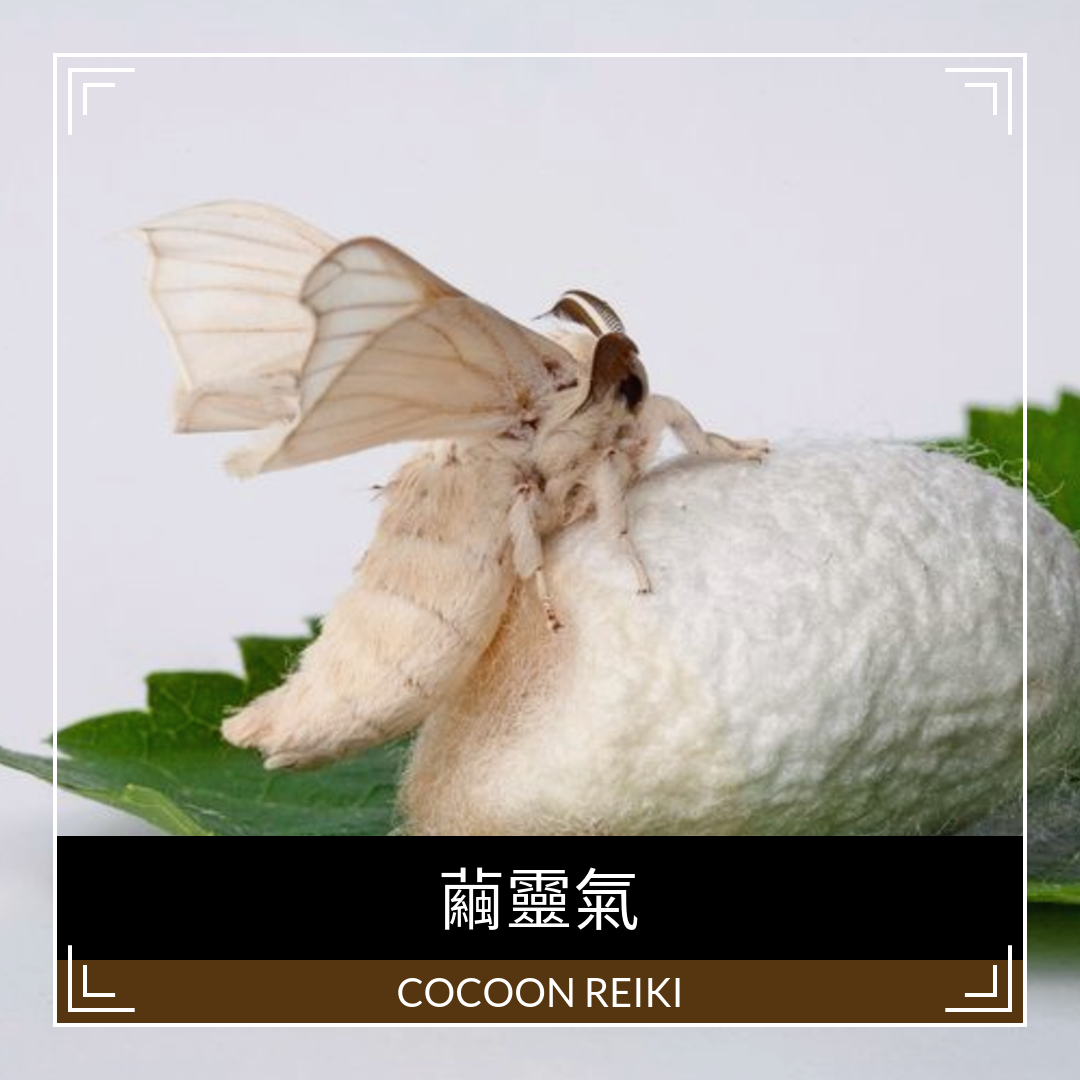 cocoon-reiki